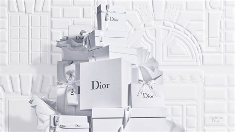 dior clothes|dior official online store.